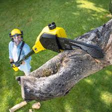 Best Soil Testing and Treatment  in Seagoville, TX