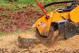 Best Lawn Maintenance Plans  in Seagoville, TX